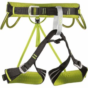 Camp Alpine Flash