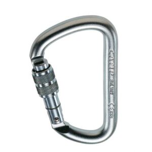 Camp D Pro Lock