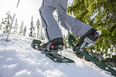 MSR Evo Trail truger - Bilde 5