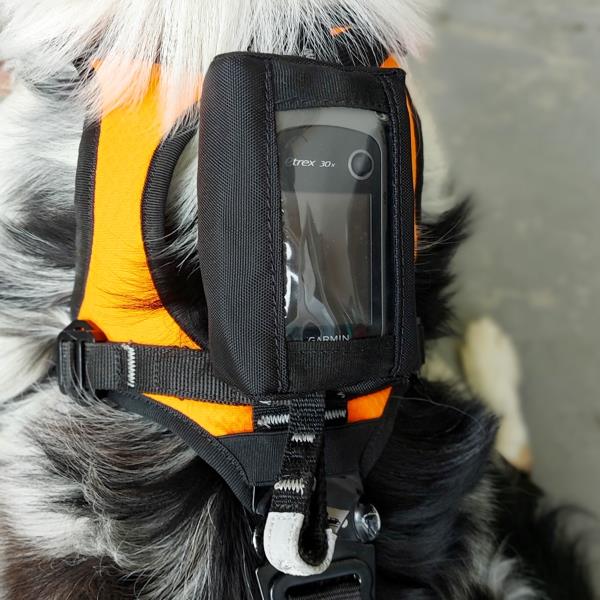 KONG Haria hundesele - Bilde 10