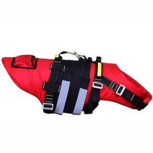 Delphinus hunderedningsvest