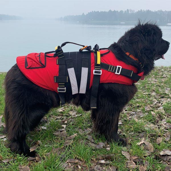 KONG Delphinus hunderedningsvest svart - Bilde 5