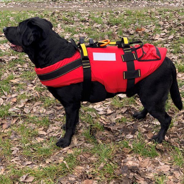 KONG Delphinus hunderedningsvest svart - Bilde 4