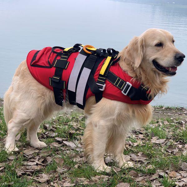 KONG Delphinus hunderedningsvest svart - Bilde 3