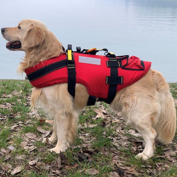 KONG Delphinus hunderedningsvest svart - Bilde 2